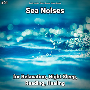#01 Sea Noises for Relaxation, Night Sleep, Reading, Healing album