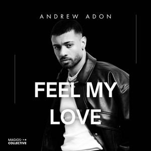 Feel My Love