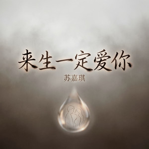 来生一定爱你（烟嗓版） by 苏嘉琪
