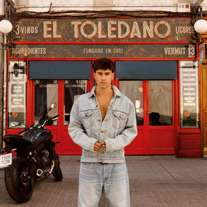Tu desastre favorito by Guille Toledano