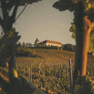Barolo Mood by Vonkman