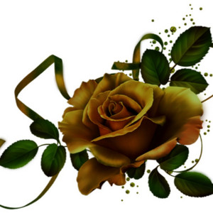 MsJozefine - Dalold el ezüstgitár