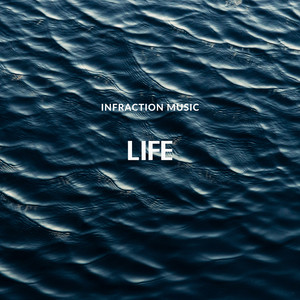 Infraction Music - Life
