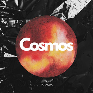 Cosmos by Taralga