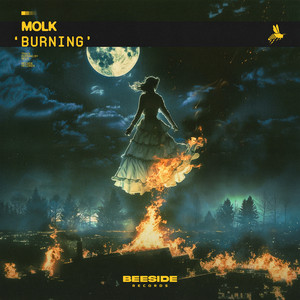 Burning by Molk
