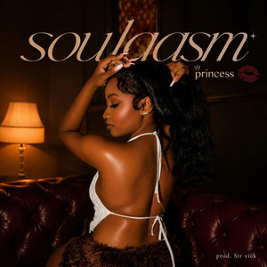 SOULGASM - Radio Edit by Princess
