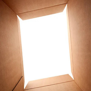 THE BOX by twinuhm