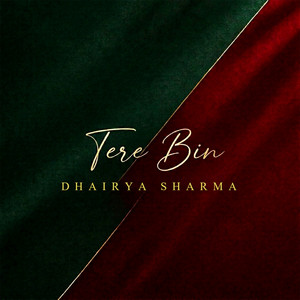 Tere Bin by Dhairya Sharma