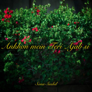 Ankhon Mein Teri (Flute Version)