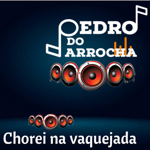 PEDRO DO ARROCHA - Chorei na Vaquejada