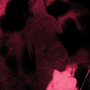 Allen's Lost Ark (Nommides Violetta)