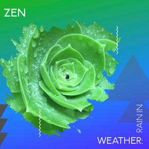 zZz Zen Weather: Rain in the Moors zZz album