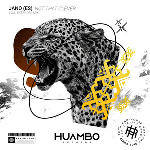 Not That Clever - Radio Edit by JANO (ES)