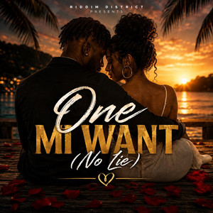One Mi Want (No Lie) by Riddim District