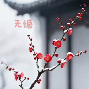 无憾 by 林诗曼