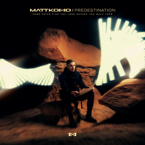 Predestination by Matt Komo
