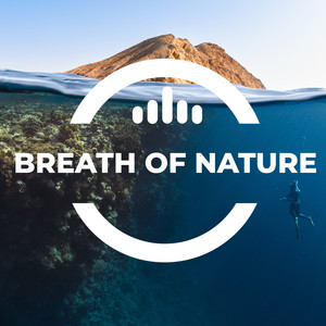 Audioknap - Breath of Nature