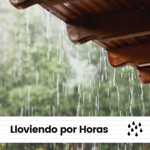 Lloviendo por Horas album