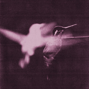 American Dreamers by Wings of Desire