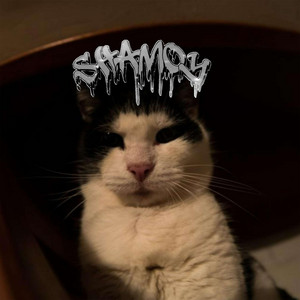 SHAMOY - BALLSACK