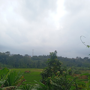 Very Good by Sekar sawali