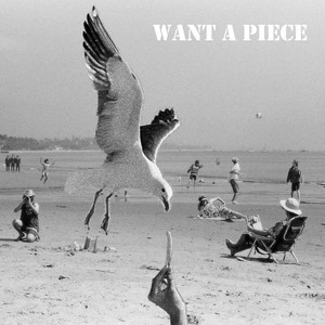 Want A Piece by Looking West