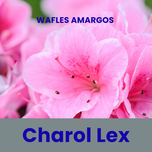 Azahar Tarde — cover art by Azahar