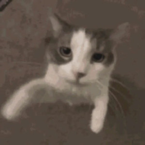 me