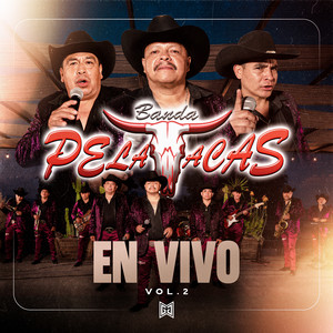 Pecadora - En Vivo by Banda Pelavacas