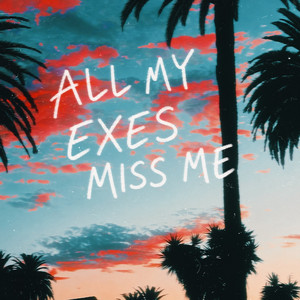 all my exes miss me by twoflow, Delaney Jane