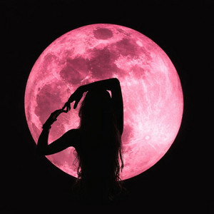 i watch the moon by inked!, hanrax, Flemish Bond