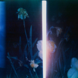 mondblumen