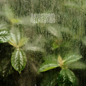 Rainstorm Relaxation by Four Winds
