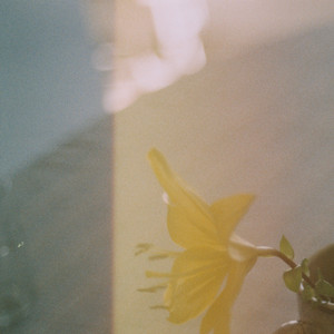 Blue House by Croatian Amor