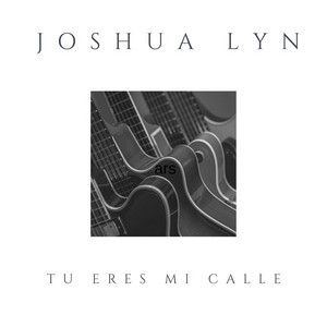 Tu Eres Mi Calle by Joshua Lyn