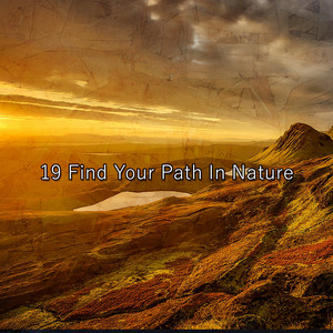 19 Find Your Path In Nature album