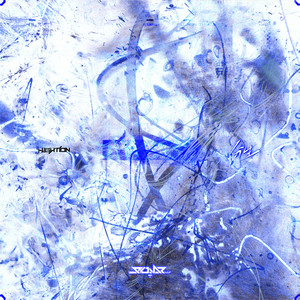 分生 by hightion