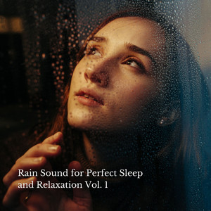 Rain Sound for Perfect Sleep and Relaxation Vol. 1 album
