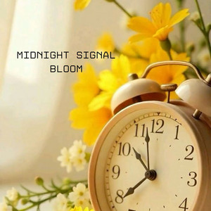 Sea South - Midnight Signal Bloom