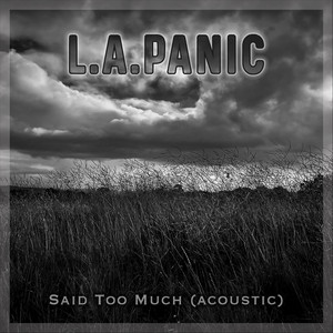 Said Too Much (Acoustic) by L.A.Panic