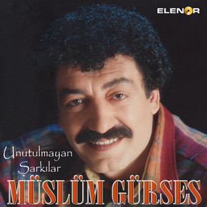 Unutulmayan Şarkılar album