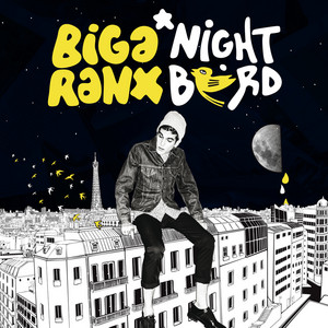 Nightbird cover