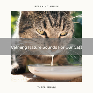Calming Nature Sounds For Our Cats album
