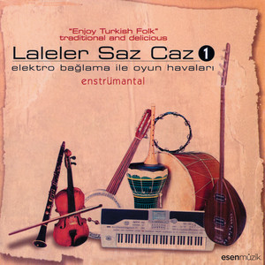 Düzce Çiftetellisi by Laleler Saz Caz