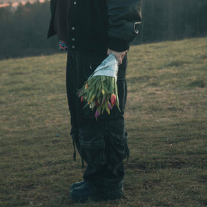 Aussie Purser - once upon a time