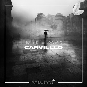In the Dark by Carvillo