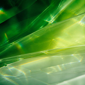 Glass Palms by Ada Kiel