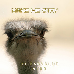 Make Me Stay by Dj Babyblue NYRD