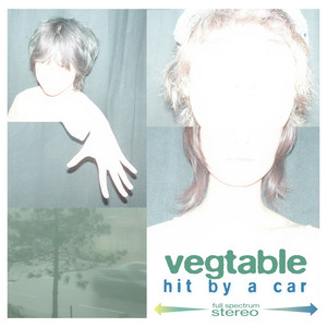 Repetitions by Vegtable
