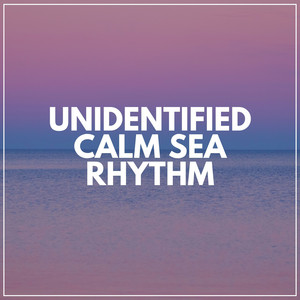 Unidentified Calm Sea Rhythm album